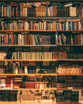 The Reading Lamp